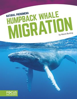 Cover image for Humpback Whale Migration