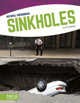 Cover image for Sinkholes