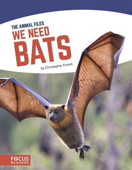 Cover image for We Need Bats