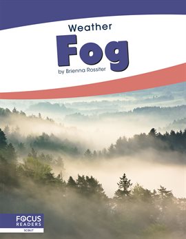 Cover image for Fog