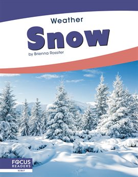 Cover image for Snow