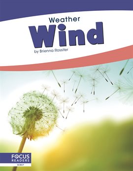 Cover image for Wind