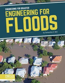 Cover image for Engineering for Floods