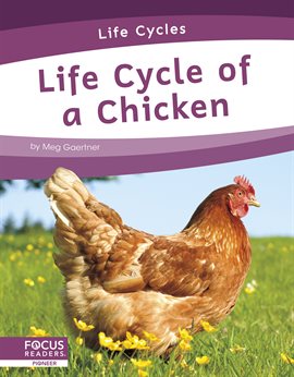 Cover image for Life Cycle of a Chicken
