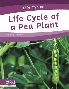 Cover image for Life Cycle of a Pea Plant