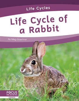Cover image for Life Cycle of a Rabbit