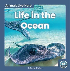 Cover image for Life in the Ocean