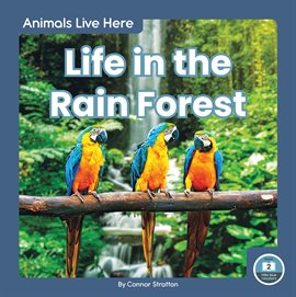Cover image for Life in the Rain Forest