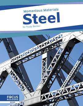 Cover image for Steel