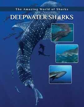 Cover image for Deepwater Sharks