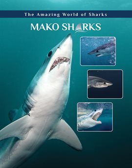 Cover image for Mako Sharks