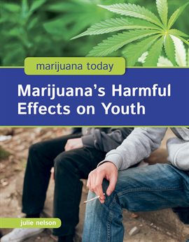 Cover image for Marijuana's Harmful Effects on Youth