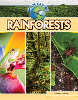 Cover image for Rainforests