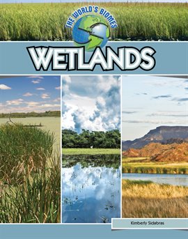 Cover image for Wetlands