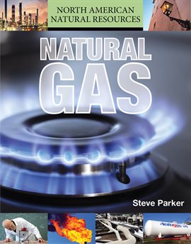 Imagen de portada para Natural Gas