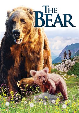 The Bear The Bear