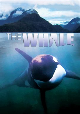 Cover image for The Whale