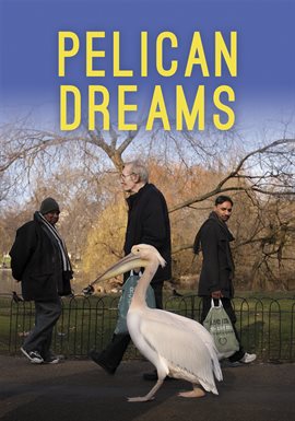 Cover image for Pelican Dreams