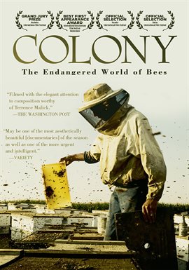 Cover image for Colony