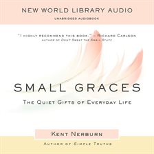 Cover image for Small Graces