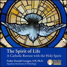 Cover image for The Spirit of Life: A Catholic Retreat with the Holy Spirit