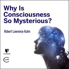 Cover image for Why is Consciousness so Mysterious?