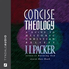 Cover image for Concise Theology