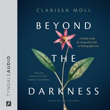 Cover image for Beyond the Darkness