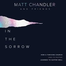 Cover image for Joy in the Sorrow