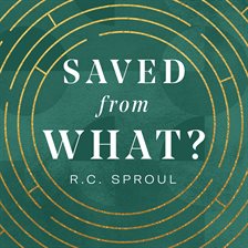 Cover image for Saved from What?