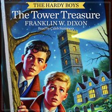 Cover image for The Tower Treasure