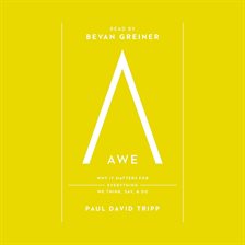 Cover image for Awe
