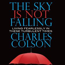 Cover image for The Sky Is Not Falling