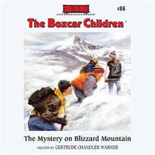 Cover image for The Mystery on Blizzard Mountain