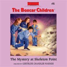 Cover image for The Mystery at Skeleton Point