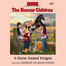 Cover image for A Horse Named Dragon