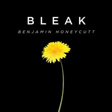 Imagen de portada para Bleak