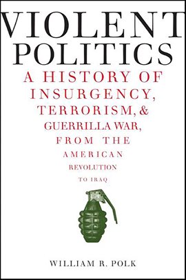 Cover image for Violent Politics