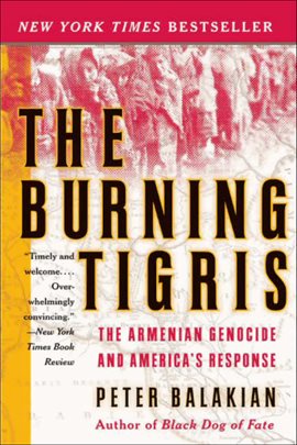 Cover image for The Burning Tigris