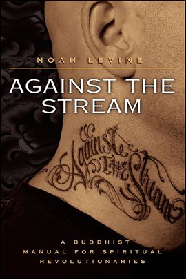 Cover image for Against the Stream