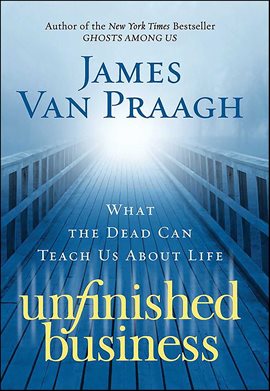Cover image for Unfinished Business