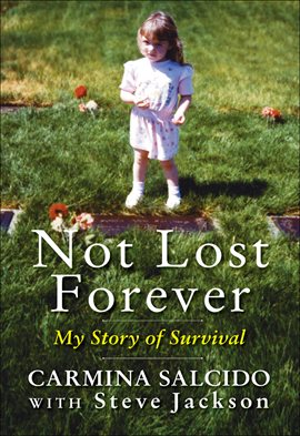 Cover image for Not Lost Forever