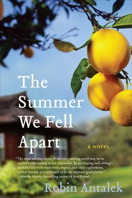Cover image for The Summer We Fell Apart