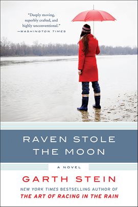 Cover image for Raven Stole the Moon