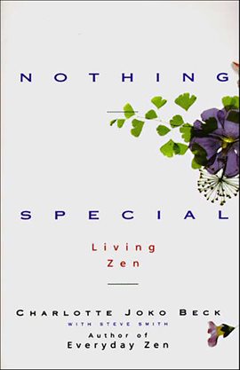 Cover image for Nothing Special