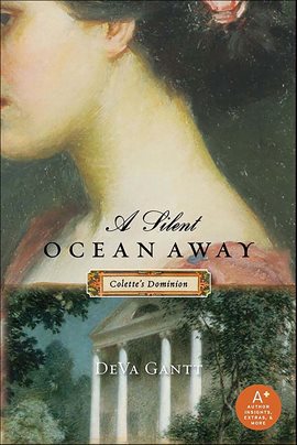 Cover image for A Silent Ocean