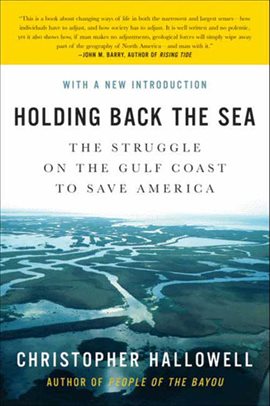 Cover image for Holding Back the Sea