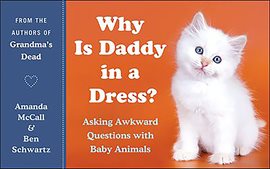 Cover image for Why Is Daddy in a Dress?
