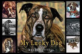 Cover image for My Lucky Dog