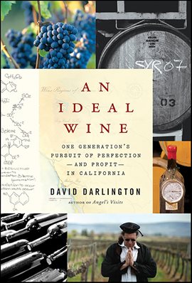 Cover image for An Ideal Wine